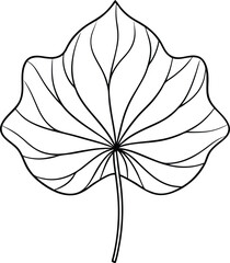 Wall Mural - Lotus leaf line art icon, vector illustration on white background