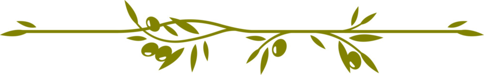 Olive leaves divider consists of a central branch with olive leaves and berries extending horizontally. Isolated vector elegant nature themed decorative element for menu in natural Mediterranean style