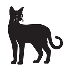  Khao Manee cat silhouette Clipart - Cat Vector illustration in black and white
