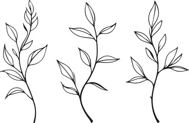 Wall Mural - Vector Black Sketch Line Drawing Set Of Plants Black Sketch of Leaves Branch Isolated on White Background. Leaves Branches Linear Illustration. Minimalist Botanical Set