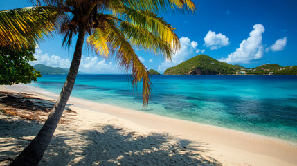 A serene tropical beach with clear blue waters, a palm tree, and lush green hills under a bright blue sky with fluffy white clouds.