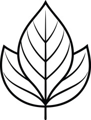 Fem leaf line art icon, vector illustration on black and white.