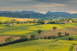 © PawelUchorczak - Spring view of landscapes of region Marche near Ancona during sunset. Green waves hills and lone trees make this landscape unreal.