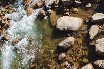 Clear water flowing over rocks alongside a serene landscape in a mountain stream during daylight hours