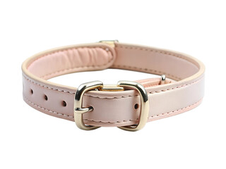 leather dog collar on transparent or white background, pet collar, front view