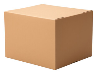 Canvas Print - PNG Craft-paper box cardboard carton white background.