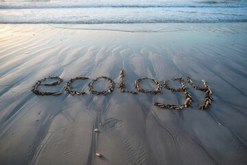 Driftwood spelling 'ecology' on a sandy beach near ocean waves.