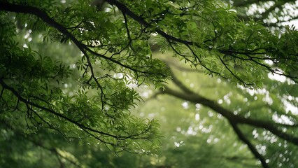 Full frame of green foliage on branches and bokeh background