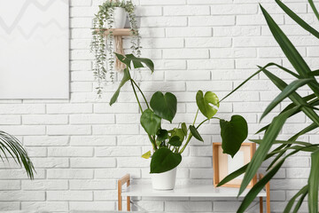 Wall Mural - Rack with houseplants and photo frame near white brick wall in interior of living room