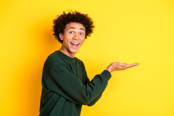 Canvas Print - Photo of nice young man hold empty space wear pullover isolated on yellow color background