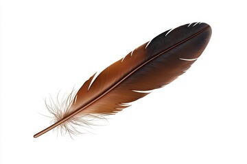 A beautifully detailed brown feather with delicate strands, perfect for artistic and nature-inspired compositions.