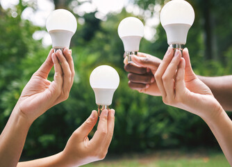 Hands, nature and light bulb for eco friendly, renewable energy and idea with sustainability innovation. People, creativity and solar power lamp for electricity, inspiration or team development