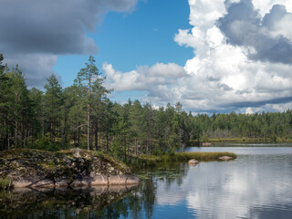 landscape of a forest lake