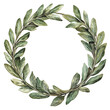 © Maestro - Fresh green laurel wreath on white isolated transparent