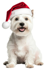 Canvas Print - PNG White West Highland terrier dog wearing a santa hat puppy cute pet.