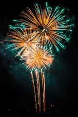 Wall Mural - Night Sky Fireworks