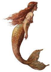 Poster - PNG  Elegant vintage mermaid illustration art