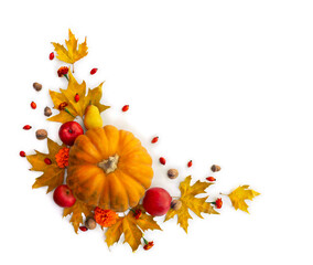 Wall Mural - pumpkin, acorns, red berries, apples and autumnal colorful maple leaves on a white background with s