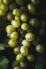 Wall Mural - Close-up of a bunch of grapes