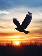 Sticker - Bird in flight at sunset