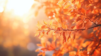 Sticker -  A tight shot of a tree branch adorned with leaves, sunlight filtering in between them, with the sun-kissed branches as the backdrop