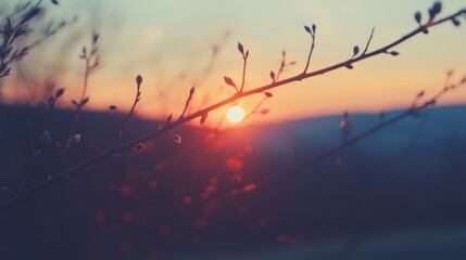 Wall Mural -  A close-up of a tree branch with the sun setting in the distance over a body of water