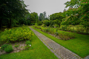 pathway in the british botanical garden of Bratislava