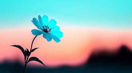 A single blue flower stands out against a serene sunset sky, creating a tranquil and picturesque scene perfect for nature and floral themes.