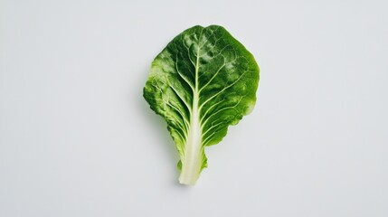 Sticker - A Single Green Lettuce Leaf Isolated on White Background