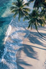 Wall Mural - Coastal scenery with palm trees