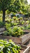 © Bussakon - Thriving School Garden Cultivating Sustainability and Education for Young Learners