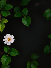 Sticker - Single white flower with green leaves on a black background