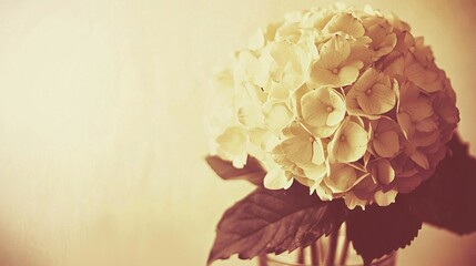 Poster -   A close-up of a vase with a flower on a table in a room against a wall