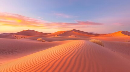 Expansive desert with clear skies at sunset, highlighting natural beauty and tranquility