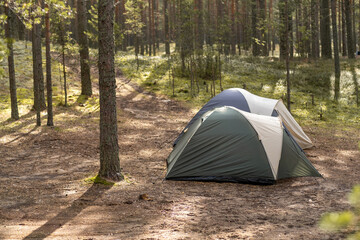 Poster - Two camping tents are set up in a quiet forest clearing with tall trees and soft sunlight filtering through the branches