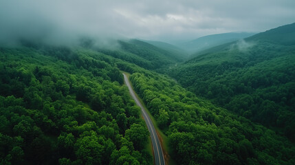 aerial view of the green forest and road in the mountains with heavy rain clouds on a cloudy day 