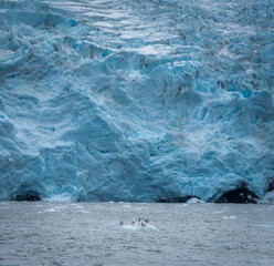 Wall Mural - glacier and icebergs in the ocean