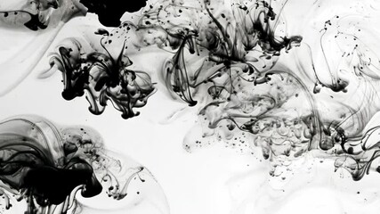 Poster - Abstract black ink splash swirling in water. Liquid flow of paint texture