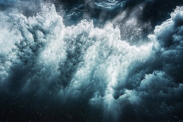 The deep blue water is pierced by rays of sunlight in this amazing photo of marine life