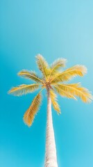 Wall Mural - Vertical Palm Tree Framing Bright Clear Sky in Tropical Landscape