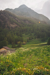 Rural landscape in front of mountain in the Alpes in Italy. Mountain on a summer day. mountain landscape