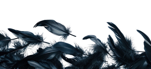 Canvas Print - PNG Flying black feathers border accessories accessory wildlife.