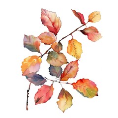 Wall Mural - A watercolor painting of autumn leaves in shades of red, orange, yellow, and green on a white background.