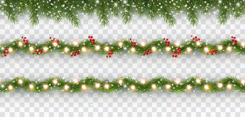 borders with green fir branches, lights isolated on transparent background. pine, xmas evergreen pla