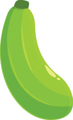 Poster - Single ripe green zucchini is lying on its side