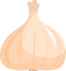 Canvas Print - Cartoon illustration of a single garlic bulb sitting on a plain white background