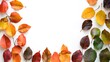 © Ziyan - Autumn leaves border on white background