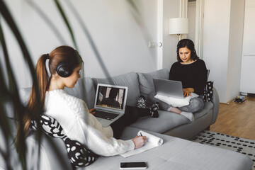 Wall Mural - Two college students having online lessons on laptop