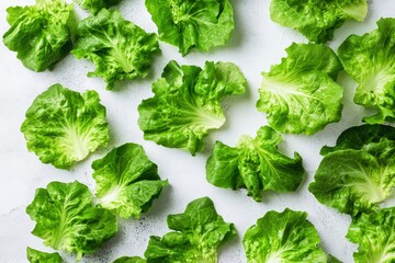 Wall Mural - green lettuce leaves on white background for salad , ai