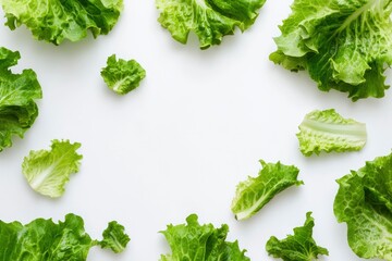 Wall Mural - green lettuce leaves on white background for salad , ai